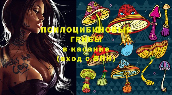 ALPHA PVP Богородск