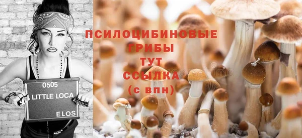 наркотики Богданович